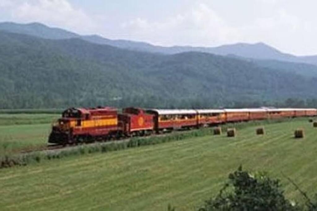 Honeymoon Getaway In Woods Near Noc And Smoky Mtn Rr Villa Bryson City Dış mekan fotoğraf
