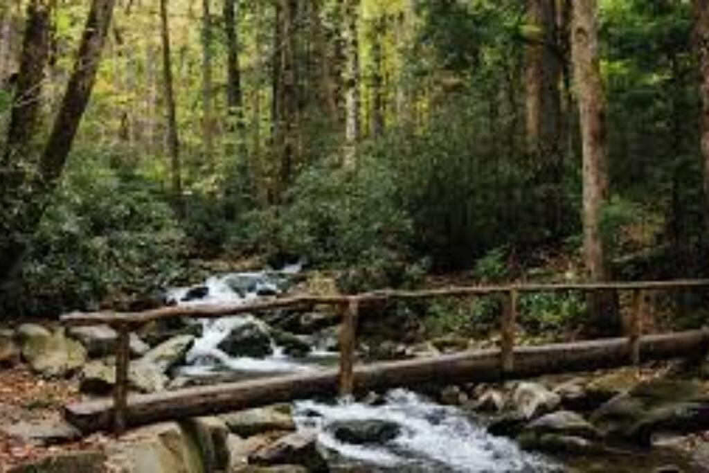 Honeymoon Getaway In Woods Near Noc And Smoky Mtn Rr Villa Bryson City Dış mekan fotoğraf