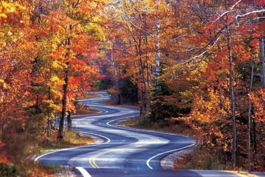 Honeymoon Getaway In Woods Near Noc And Smoky Mtn Rr Villa Bryson City Dış mekan fotoğraf